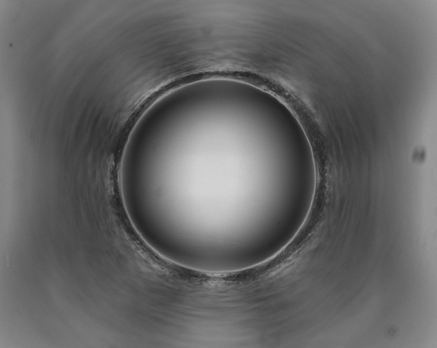 X0000090871265200707271243