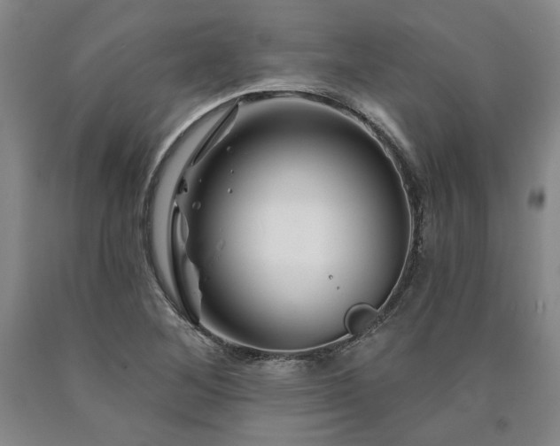 X0000090871268200707271243