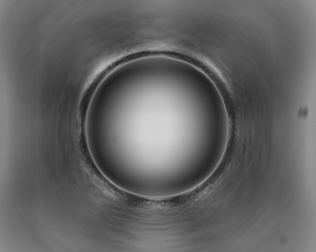 X0000090871270200707271243