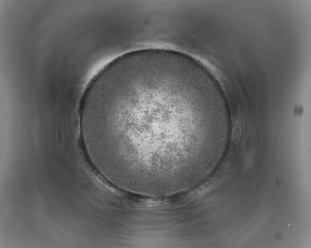 X0000090871271200707271243