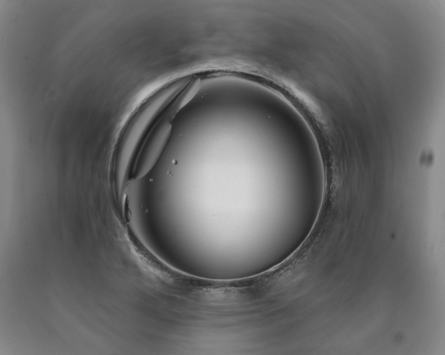 X0000090871272200707271243