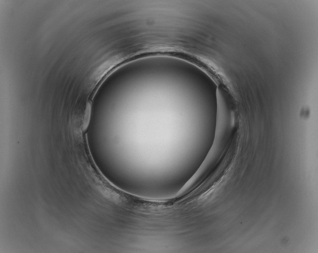 X0000090871273200707271243