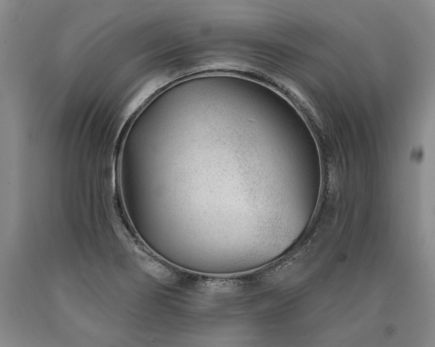 X0000090871274200707271243