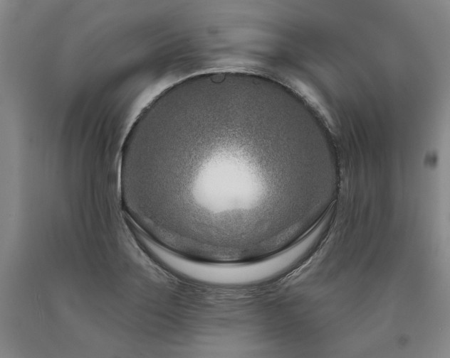 X0000090871275200707271243
