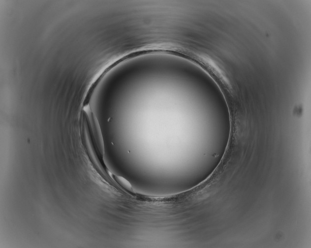 X0000090871276200707271243