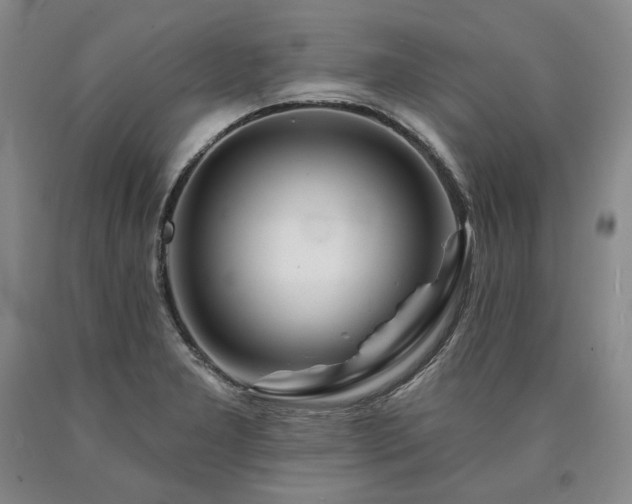 X0000090871277200707271243