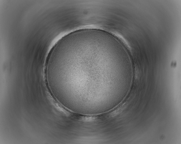 X0000090871278200707271243
