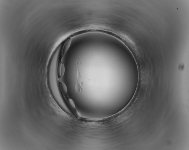 X0000090871280200707271243