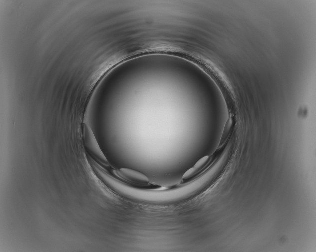 X0000090871281200707271243