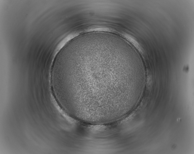 X0000090871282200707271243