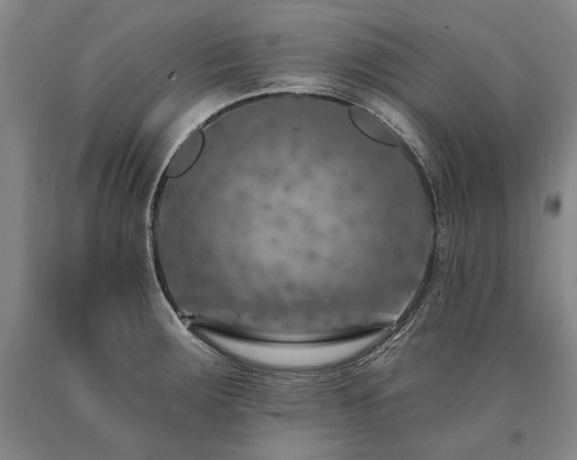 X0000090871283200707271243