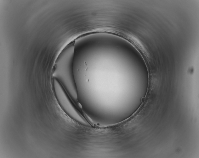 X0000090871284200707271243