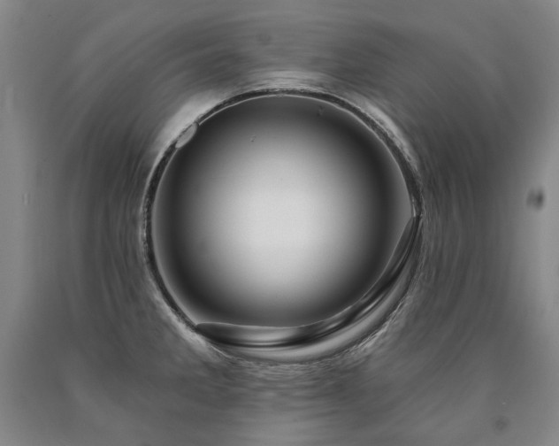 X0000090871285200707271243