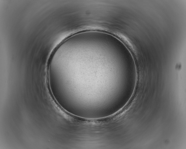 X0000090871286200707271243