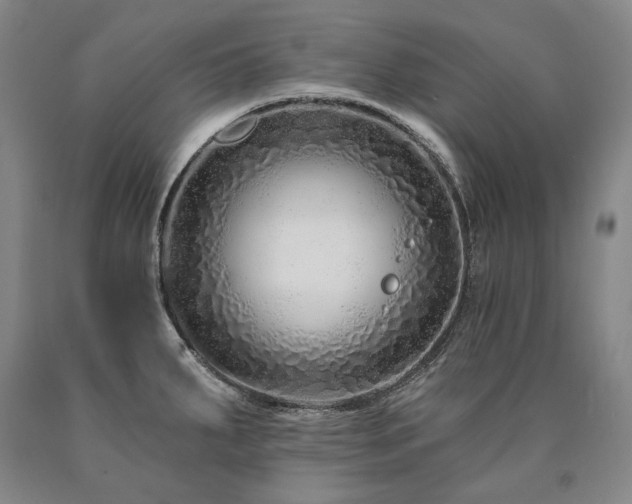 X0000090871287200707271243