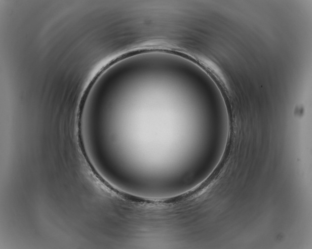 X0000090871288200707271242
