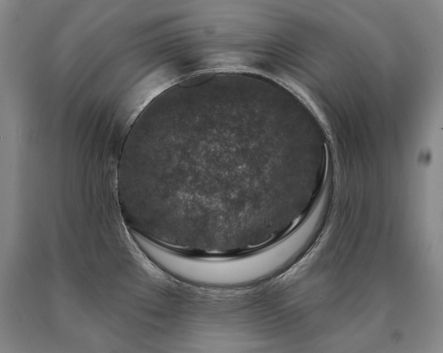 X0000090871289200707271242