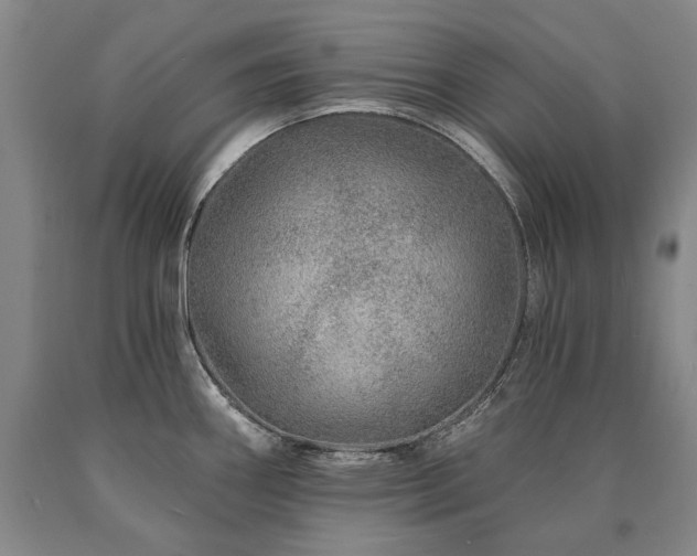 X0000090871290200707271242