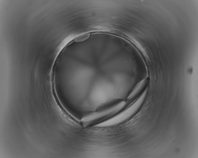 X0000090871291200707271242