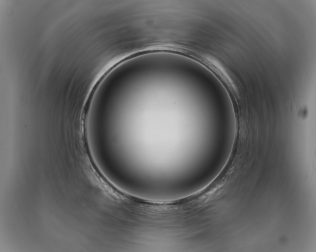 X0000090871292200707271242