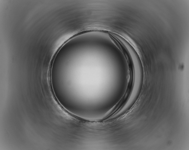 X0000090871293200707271242
