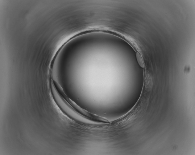 X0000090871295200707271242