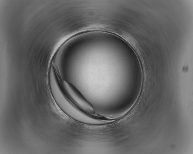 X0000090871296200707271242