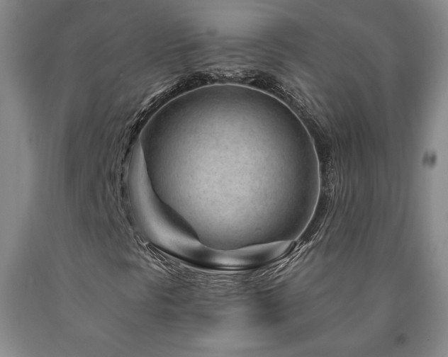 X0000090871297200707271242