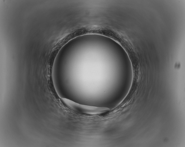 X0000090871301200707271242