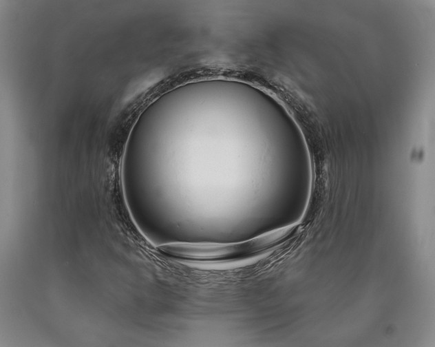 X0000090871302200707271242