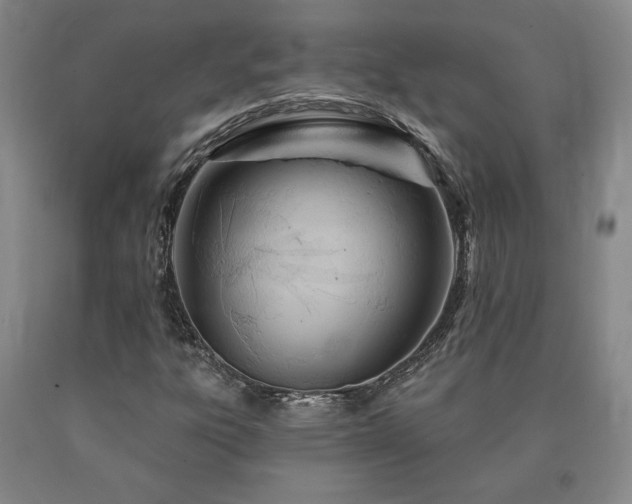 X0000090871303200707271242