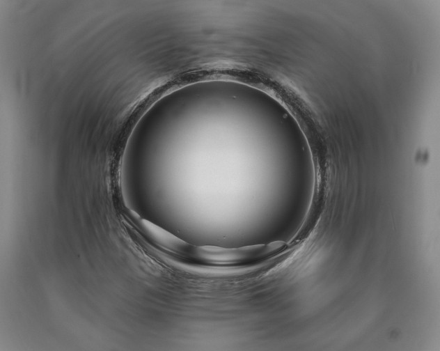X0000090871305200707271242