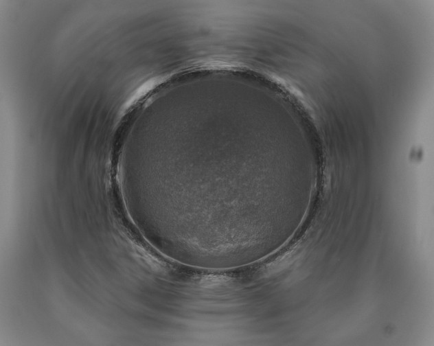 X0000090871306200707271242