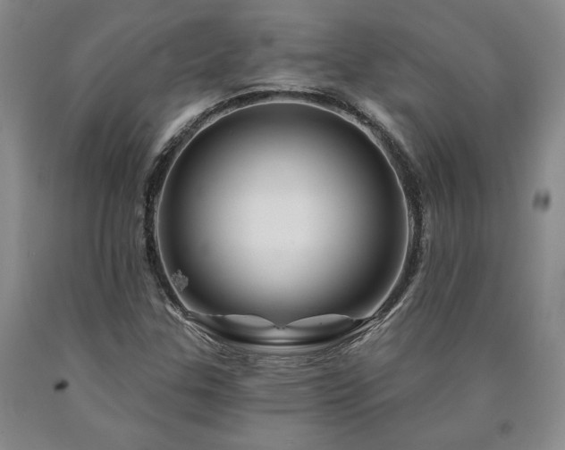 X0000090871307200707271242