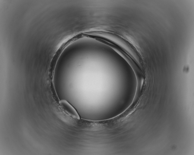 X0000090871308200707271242