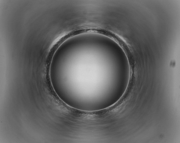 X0000090871309200707271242
