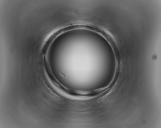 X0000090871310200707271242