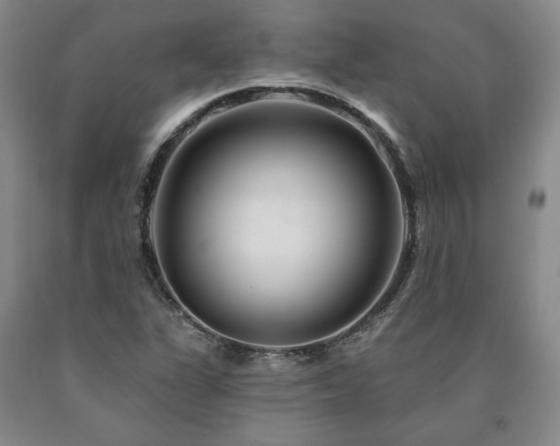 X0000090871311200707271242