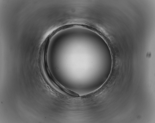 X0000090871312200707271242
