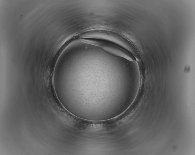 X0000090871313200707271242
