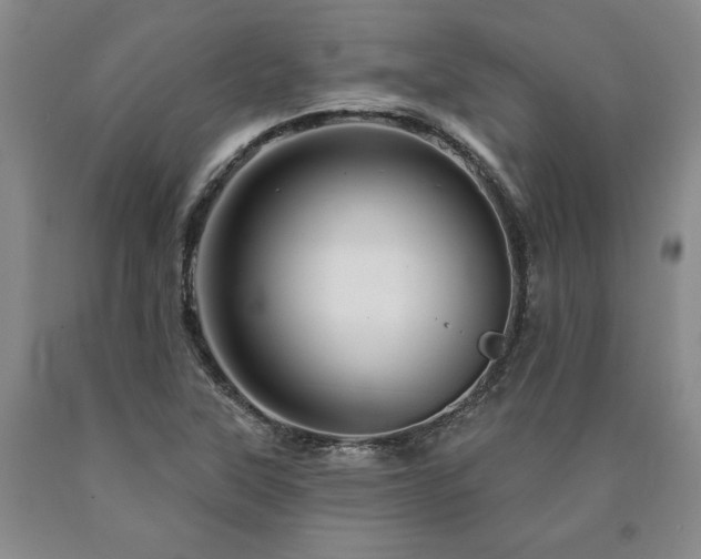 X0000090871315200707271242