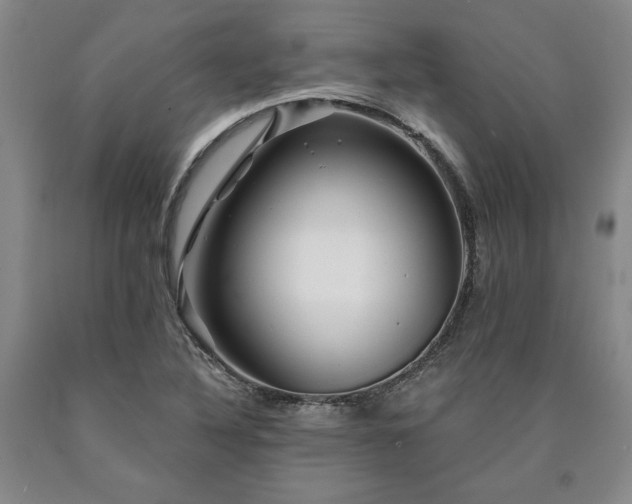 X0000090871316200707271242