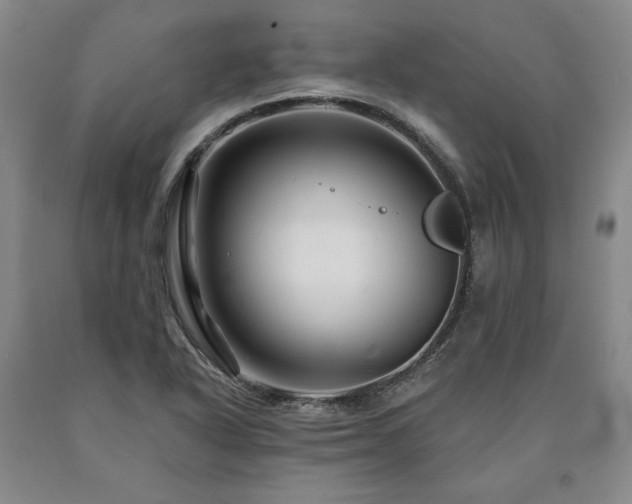 X0000090871318200707271242