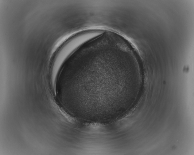 X0000090871319200707271242