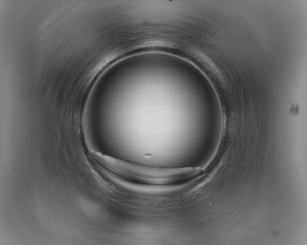 X0000090871321200707271242