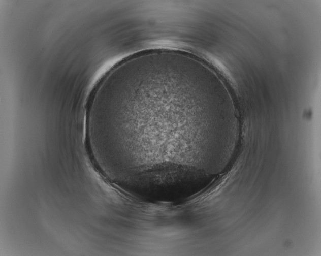 X0000090871323200707271242