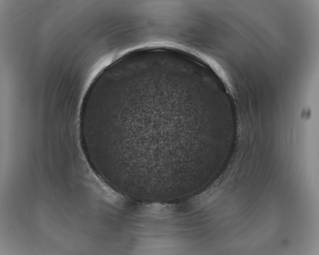 X0000090871327200707271242