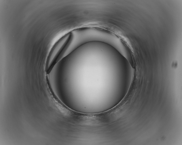 X0000090871328200707271242