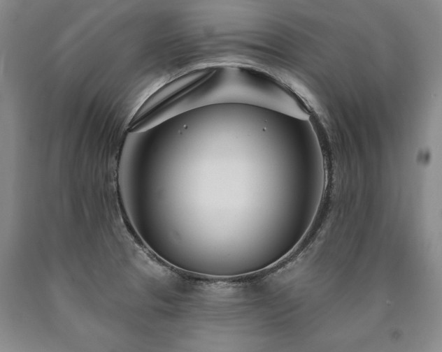 X0000090871329200707271242