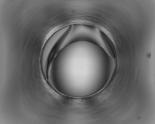 X0000090871330200707271242